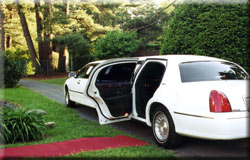 NY Wedding limousine
